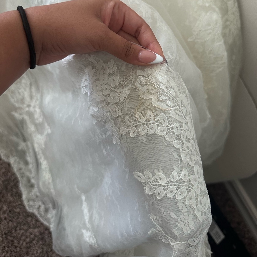 Pronovias Imelda Wedding Gown - Picture 8 of 16